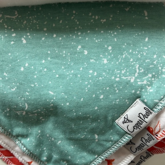 NWT Bundle (2) Carter’s Baby Dinosaur Romper/Bandana Bibs - Picture 9 of 13